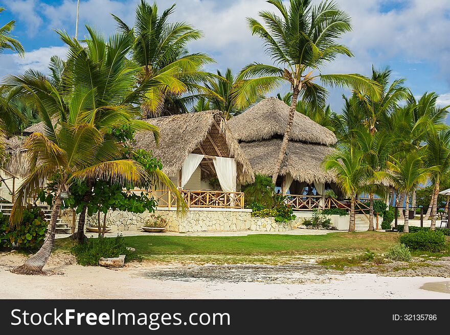 Palm And Tropical Beach In Tropical Paradise. Summertime Holyday In Dominican Republic, Seychelles, Caribbean, Philippines, Bahama