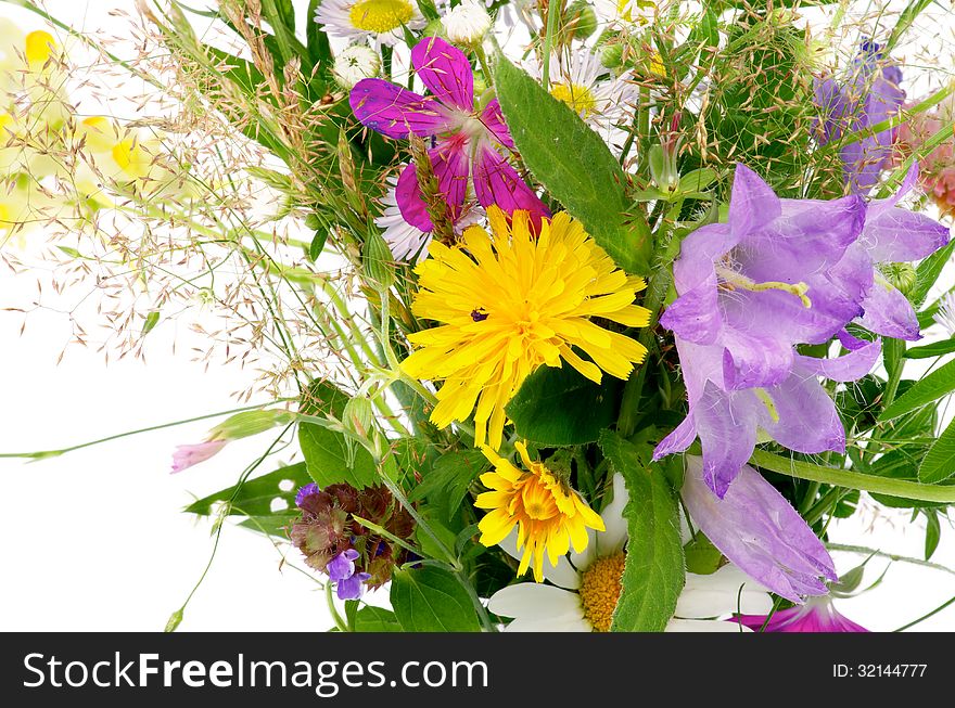 Bouquet of Wildflowers and Various Grass isolated on white background. Bouquet of Wildflowers and Various Grass isolated on white background