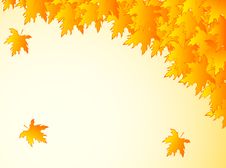 Background In Warm Colors With Yellow Maple Leaves. Royalty Free Stock Photos Background In Warm Colors With Yellow Maple Leaves. Royalty Free Stock Photos