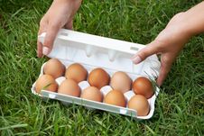 Pack Of Eggs On Grass Royalty Free Stock Photos Pack Of Eggs On Grass Royalty Free Stock Photos
