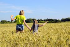 Child In Summer Wheat Field. Royalty Free Stock Images Child In Summer Wheat Field. Royalty Free Stock Images