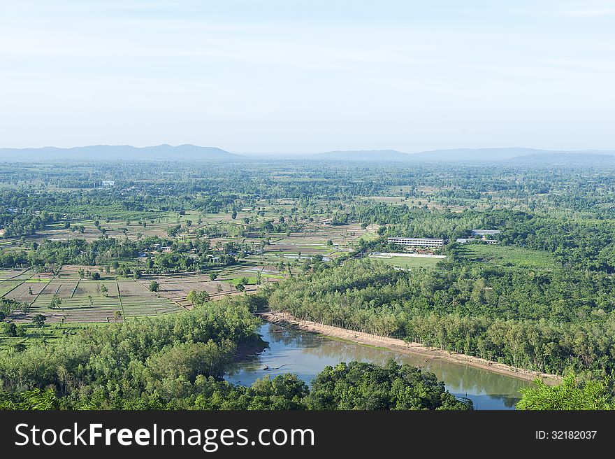 Small farm green field in bird eye view.