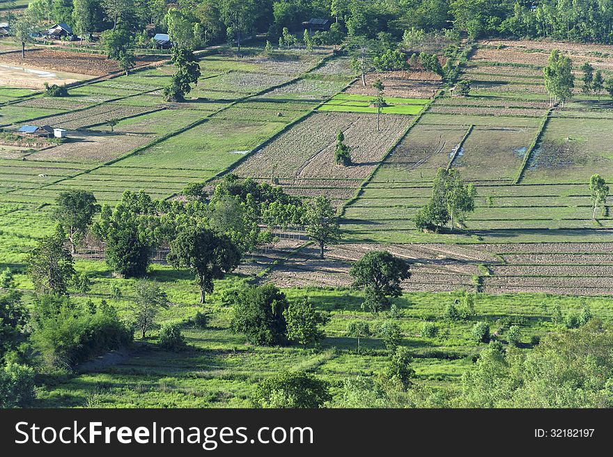 Small farm green field