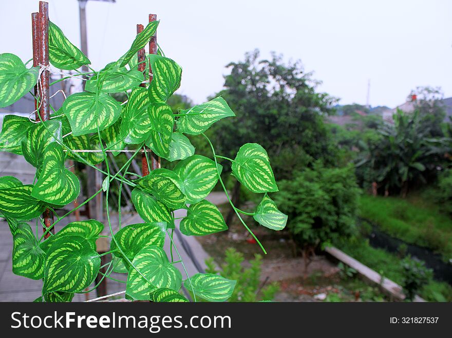 Foliage creeping between iron fingers against the backdrop of a plant-filled environment.