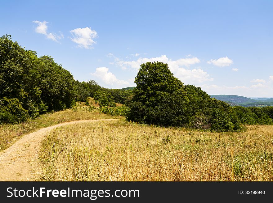 Unpaved Road In A Field