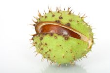 Chestnuts Close Up Isolated Royalty Free Stock Photography Chestnuts Close Up Isolated Royalty Free Stock Photography