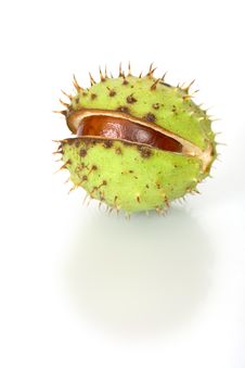 Chestnuts Close Up Isolated Royalty Free Stock Photos Chestnuts Close Up Isolated Royalty Free Stock Photos
