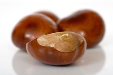 Chestnuts Close Up Isolated Stock Photos Chestnuts Close Up Isolated Stock Photos