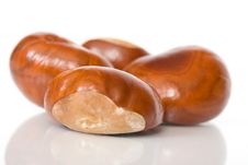 Chestnuts Close Up Isolated Stock Photography Chestnuts Close Up Isolated Stock Photography