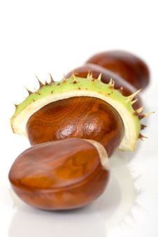 Chestnuts Close Up Isolated Stock Photos Chestnuts Close Up Isolated Stock Photos