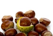 Chestnuts Close Up Isolated Stock Images Chestnuts Close Up Isolated Stock Images