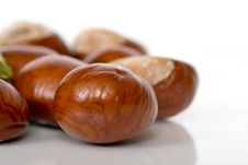 Chestnuts Close Up Isolated Stock Images Chestnuts Close Up Isolated Stock Images
