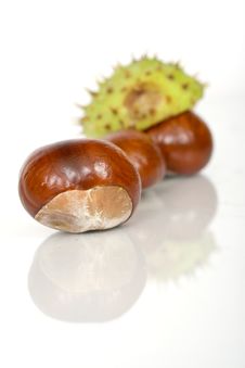 Chestnuts Close Up Isolated Royalty Free Stock Photo Chestnuts Close Up Isolated Royalty Free Stock Photo