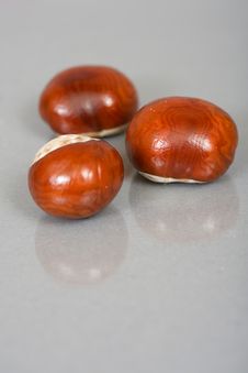 Chestnuts Close Up Isolated Stock Photography Chestnuts Close Up Isolated Stock Photography