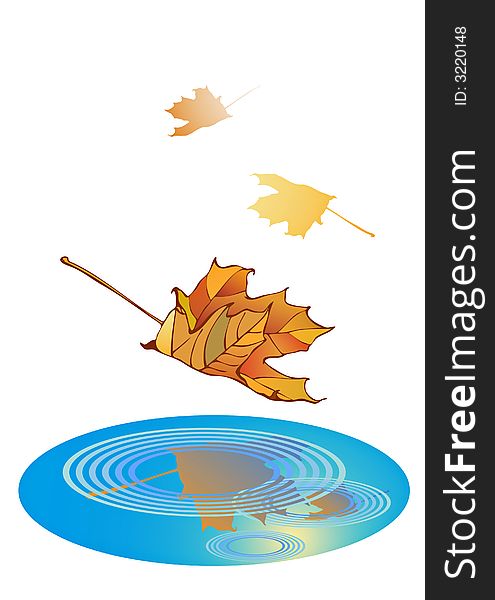 Indian summer-illustration of maple leaf during a fall