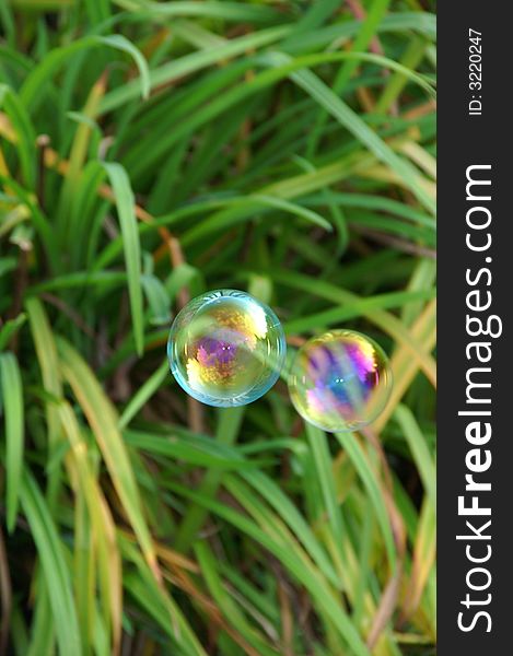 Photo of two bubbles floating in the wind.
The bubble is like a mirror, you can see the sky, the landscape and the clouds in it. Photo of two bubbles floating in the wind.
The bubble is like a mirror, you can see the sky, the landscape and the clouds in it.