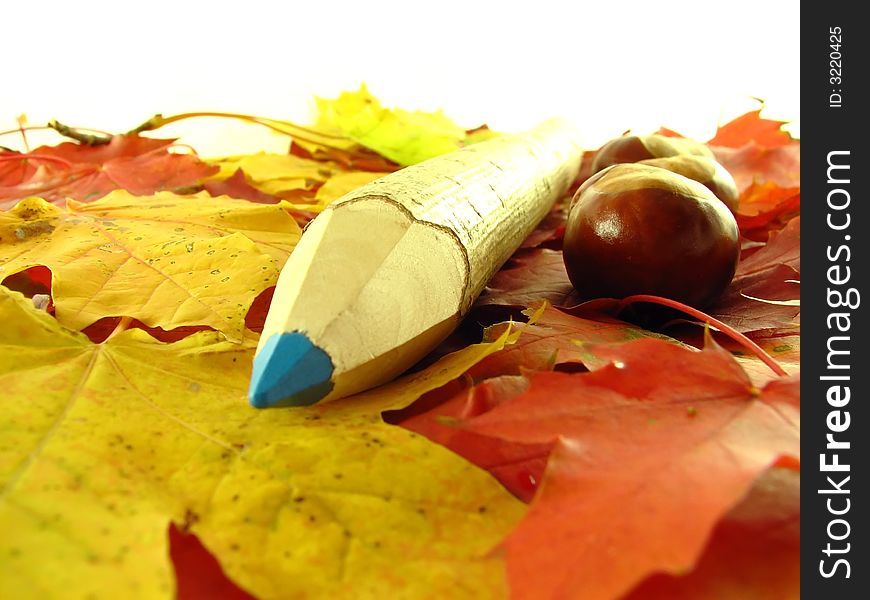 Autumn composition: chestnuts and color pencil on leaves