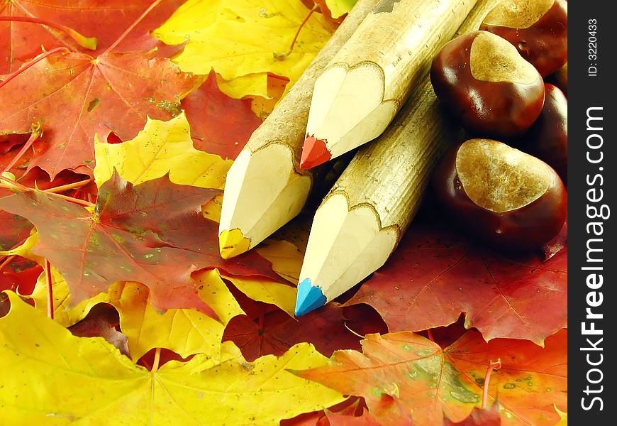 Autumn composition: chestnuts and color pencils on leaves