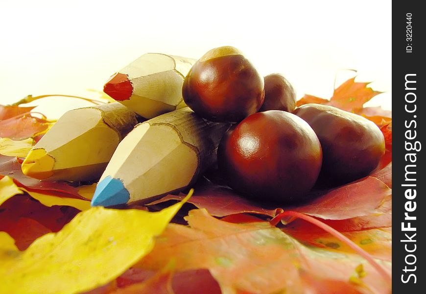 Autumn composition: chestnuts and color pencils on leaves