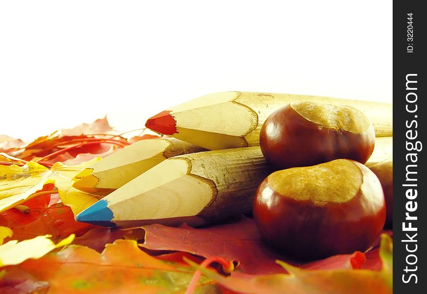 Autumn composition: chestnuts and color pencils on leaves