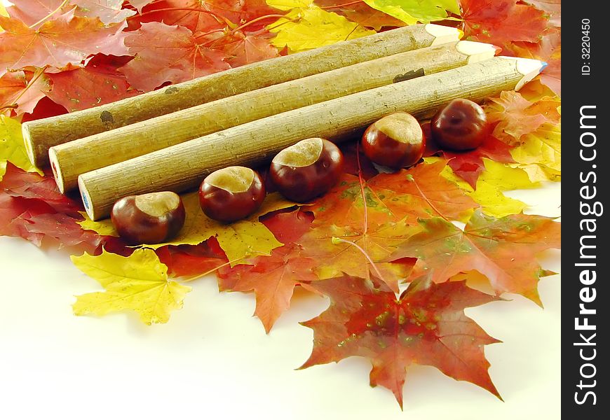 Autumn composition: chestnuts and color pencils on leaves