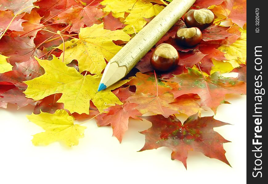 Autumn composition: chestnuts and color pencil on leaves
