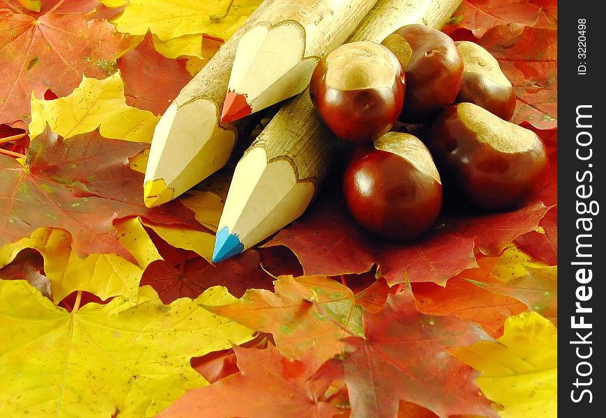 Autumn composition: chestnuts and color pencils on leaves