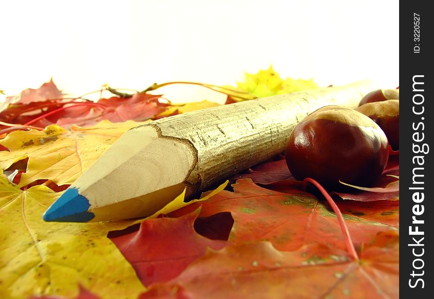 Autumn composition: chestnuts and color pencil on leaves