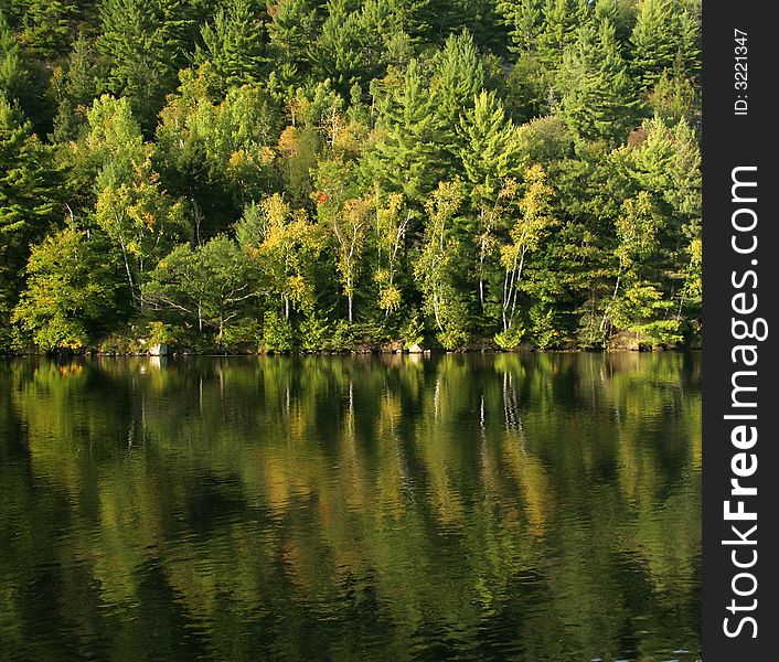 Autumn lake reflection in calm waters