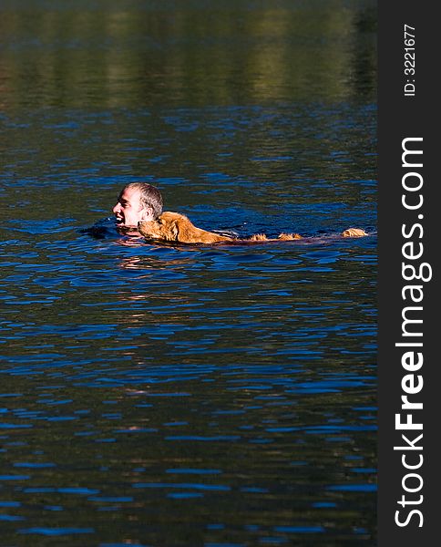 A man and his dog cool off on a hot summer day by swimming in a lake together. A man and his dog cool off on a hot summer day by swimming in a lake together.