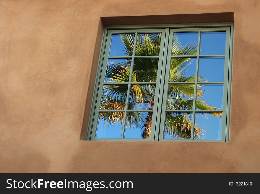 Reflection of palm in the window