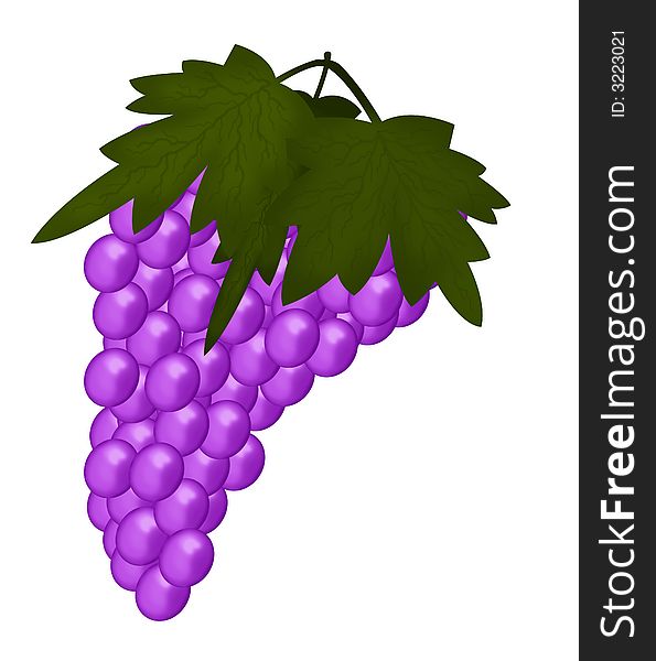 A large bunch of bright purple grapes with green leaves.