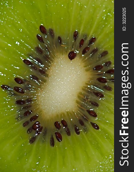 Close-up of a fruit of kiwi