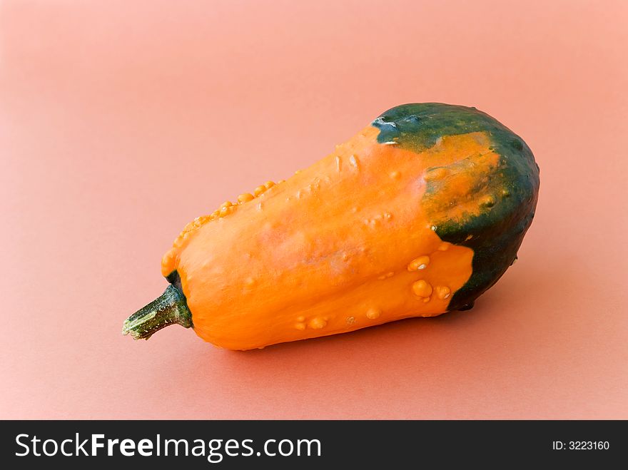 Mini Pumpkin.a close up shot on apricot background.