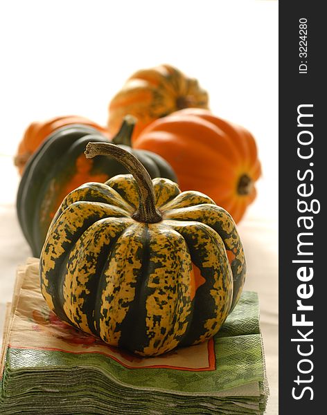 Colorful pumpkins and gourds in an autumn setting bathed in natural light