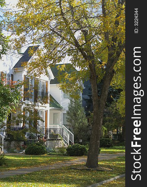 A colonial house with fall trees in front. A colonial house with fall trees in front