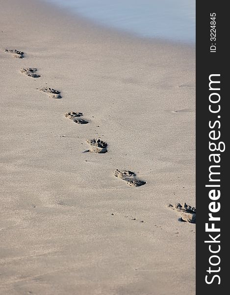 Footprint detail on a beach