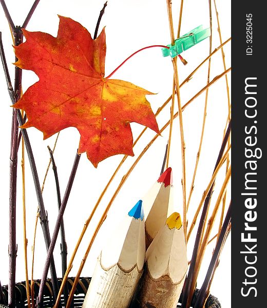 Autumn composition with leaf: coloured pencils in basket on white background