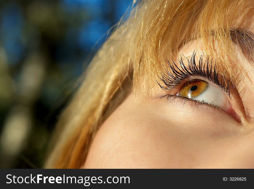 Girl S Eye Closeup