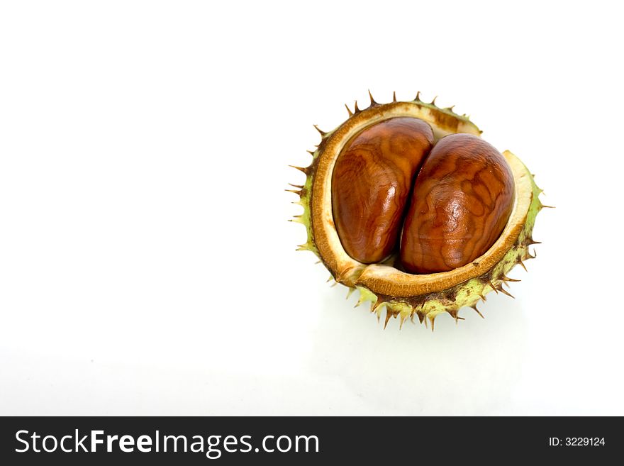 Chestnuts Close Up Isolated