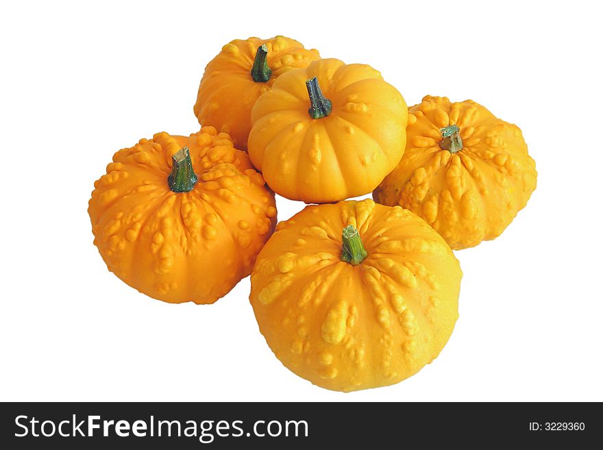 Bunch of ornamental squash on white