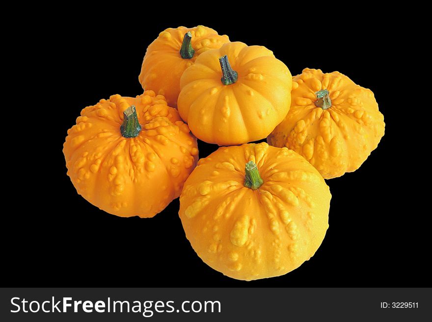 Bunch of ornamental squash on black