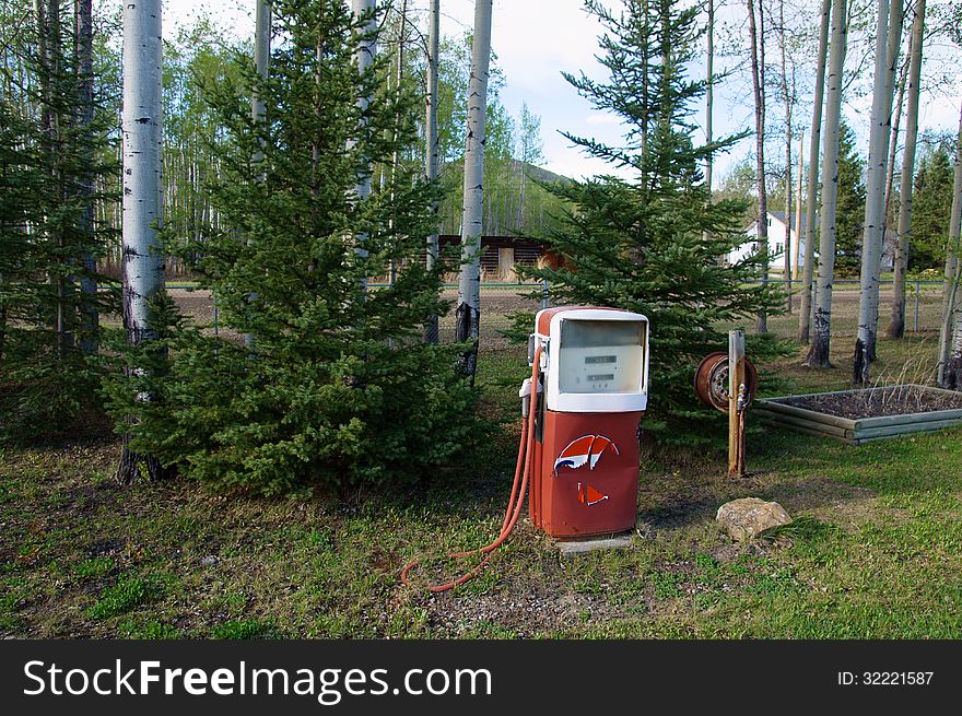 Red and white Vintage Gas Pump setting in evergreen trees.