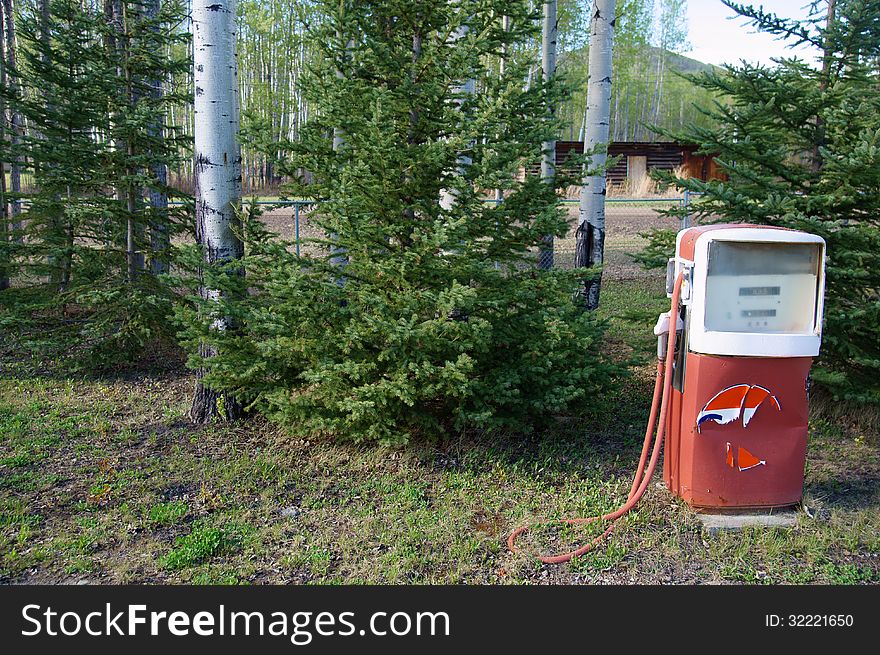 Red and white Vintage Gas Pump setting in evergreen trees.