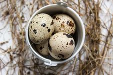 A Small Bucket With Quail Eggs Royalty Free Stock Image A Small Bucket With Quail Eggs Royalty Free Stock Image