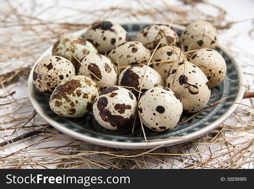 Ceramic plate with quail eggs. Ceramic plate with quail eggs