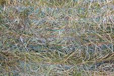 Bale Of Hay Stock Image Bale Of Hay Stock Image
