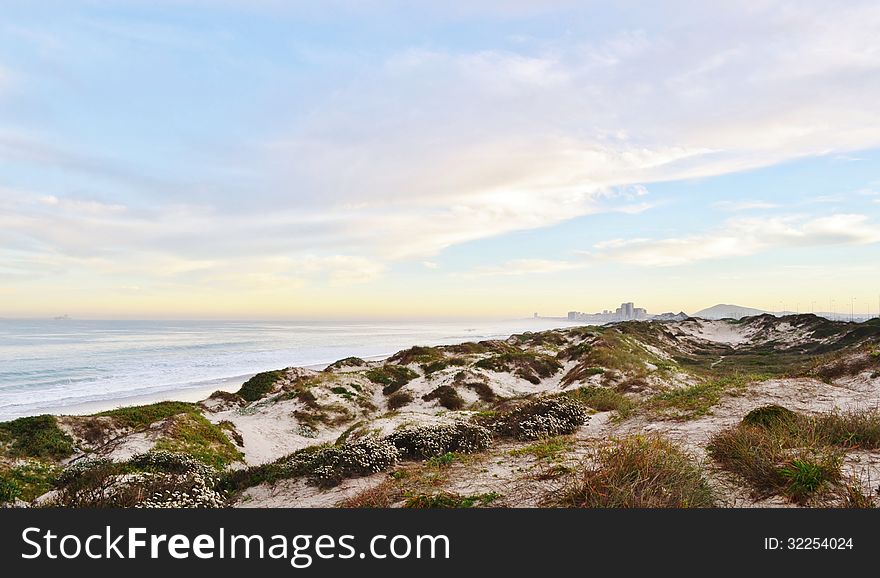 Landscape with dune grass on an atlantic ocean beach