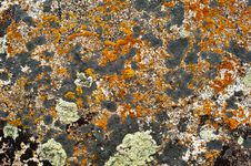Rock Surface With Lichen And Moss Stock Photos Rock Surface With Lichen And Moss Stock Photos