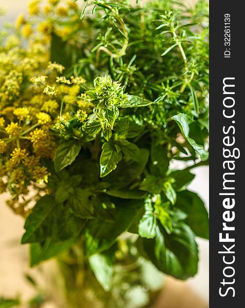 Fresh aromatic herbs in rustic jar